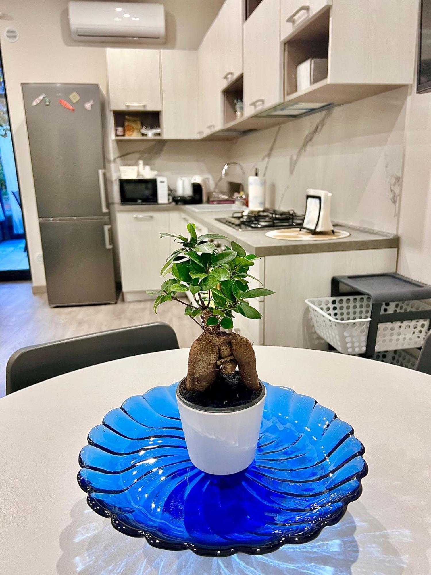 La Casa Di Gio - Free Space N26 Nicolosi Ngoại thất bức ảnh